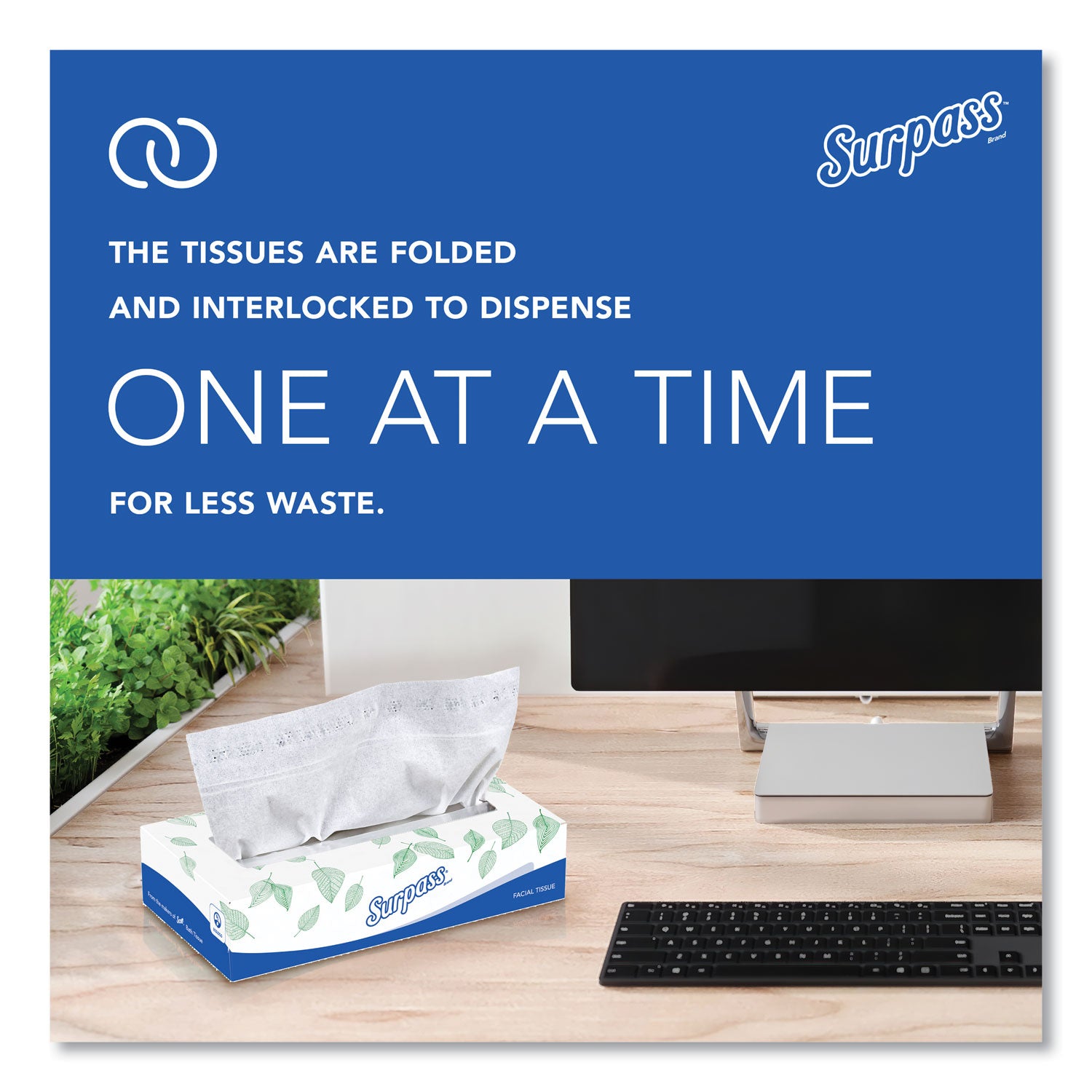 Surpass Flat Box Facial Tissue for Business - 2 Ply - WhiteBox - 100/Box - 1 Carton