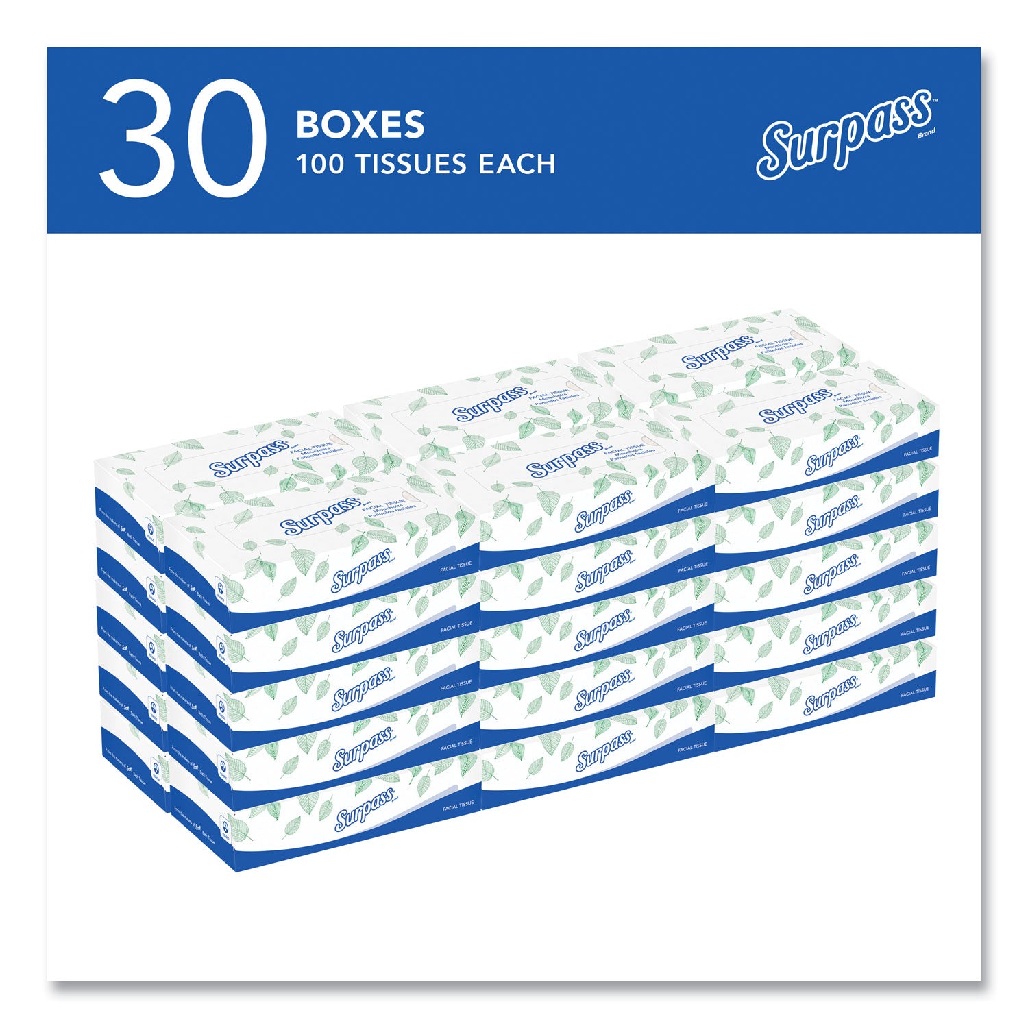 Surpass Flat Box Facial Tissue for Business - 2 Ply - WhiteBox - 100/Box - 1 Carton