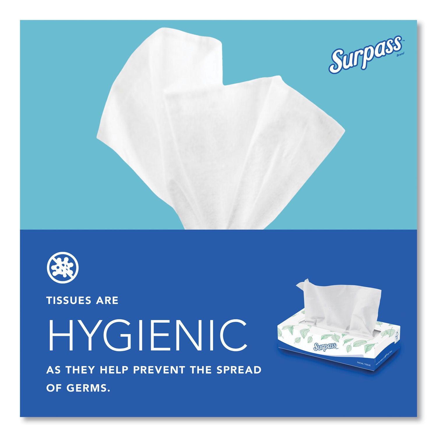 Surpass Flat Box Facial Tissue for Business - 2 Ply - 8" Width x 8.30" Length - White - 125/Box - 1 Carton