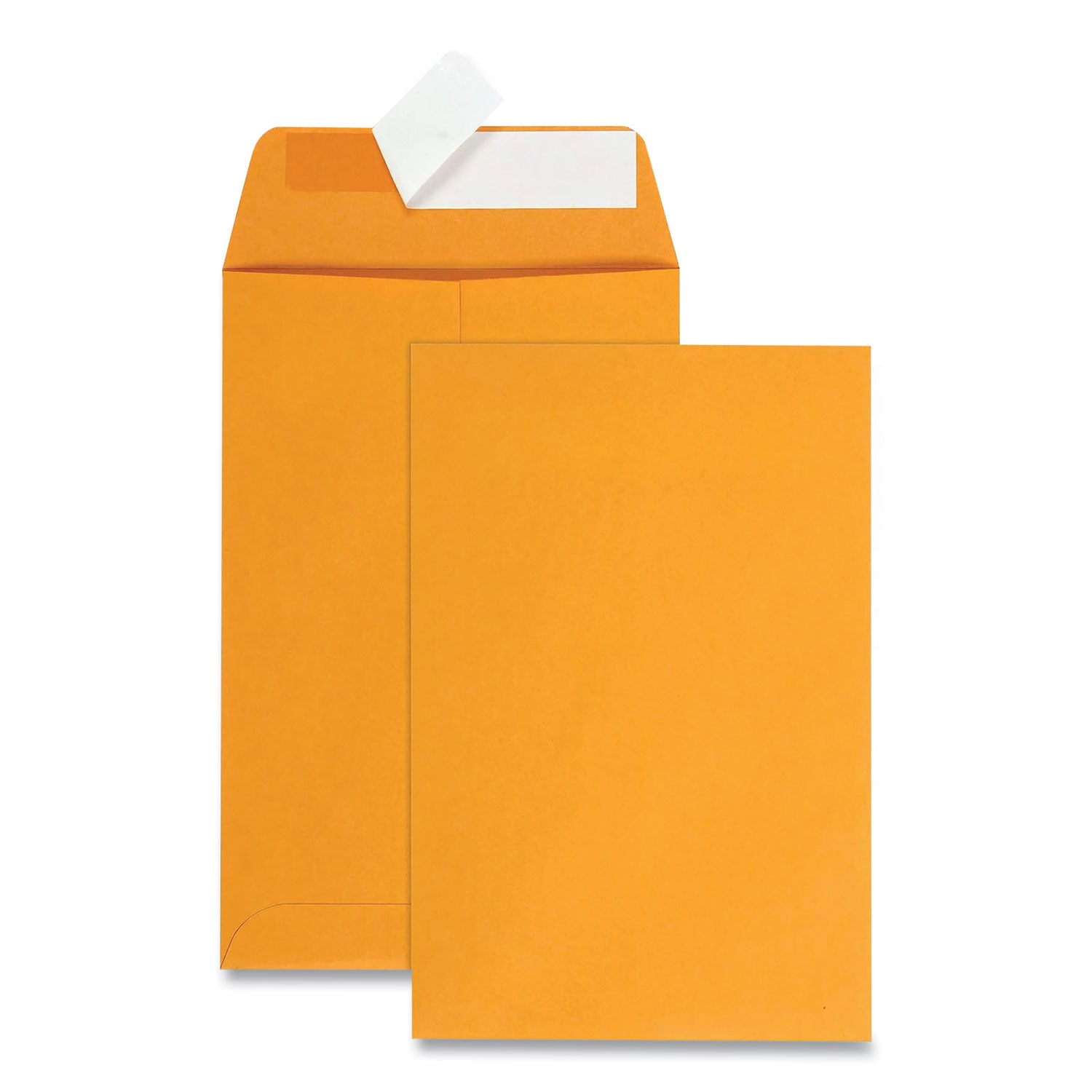 Catalog - 6" Width x 9" Length - 28 lb - Peel & Seal - Kraft - 100 / Box