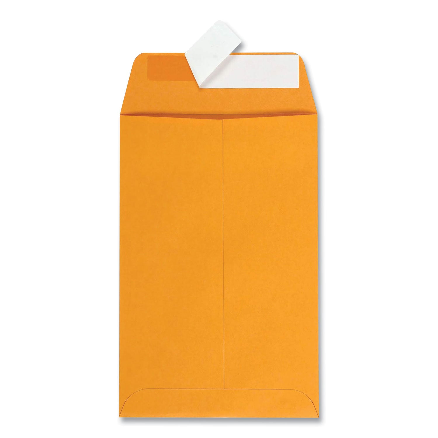 Catalog - 6" Width x 9" Length - 28 lb - Peel & Seal - Kraft - 100 / Box