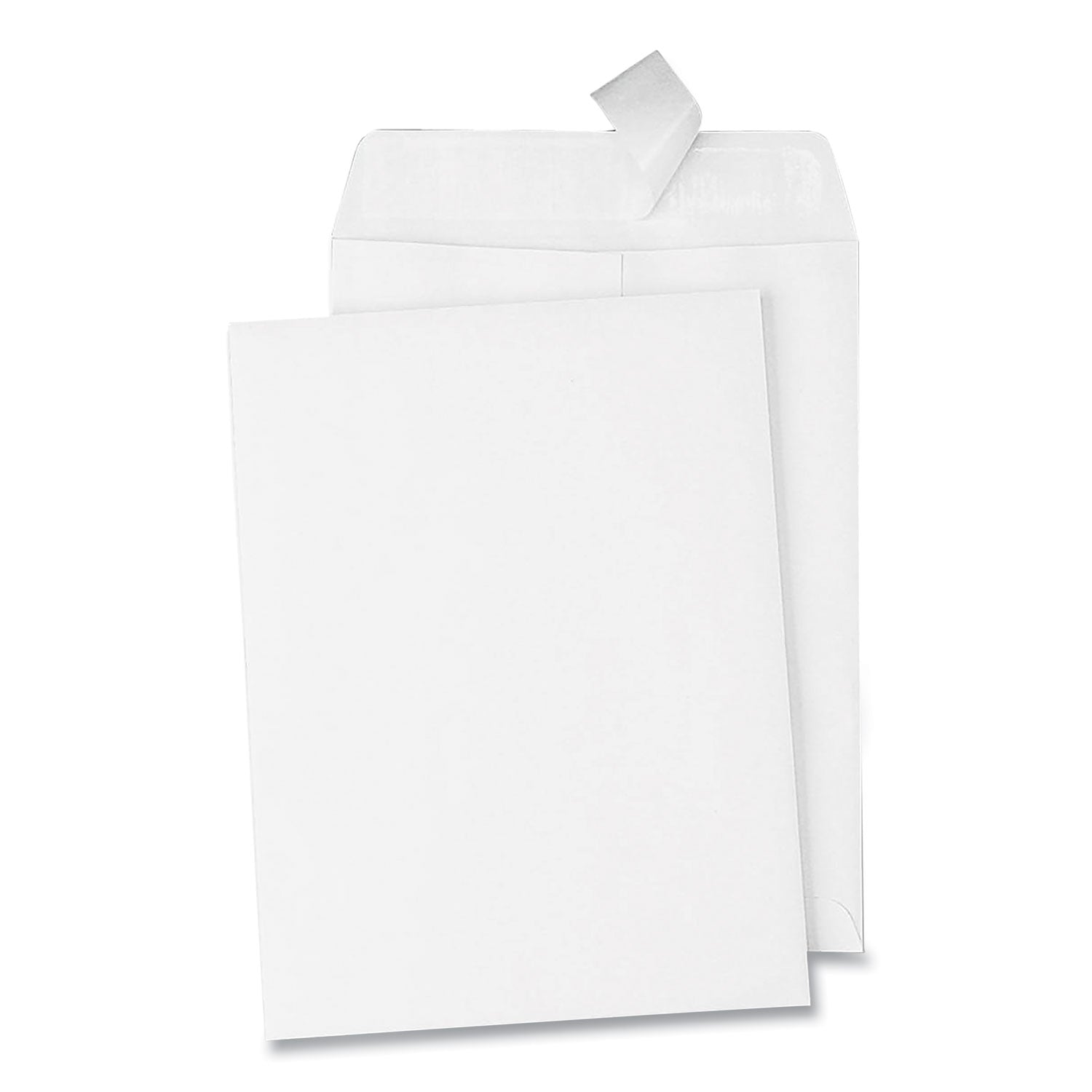 Catalog - #1 - 6" Width x 9" Length - 28 lb - Peel & Seal - White - Wove - 100 / Box