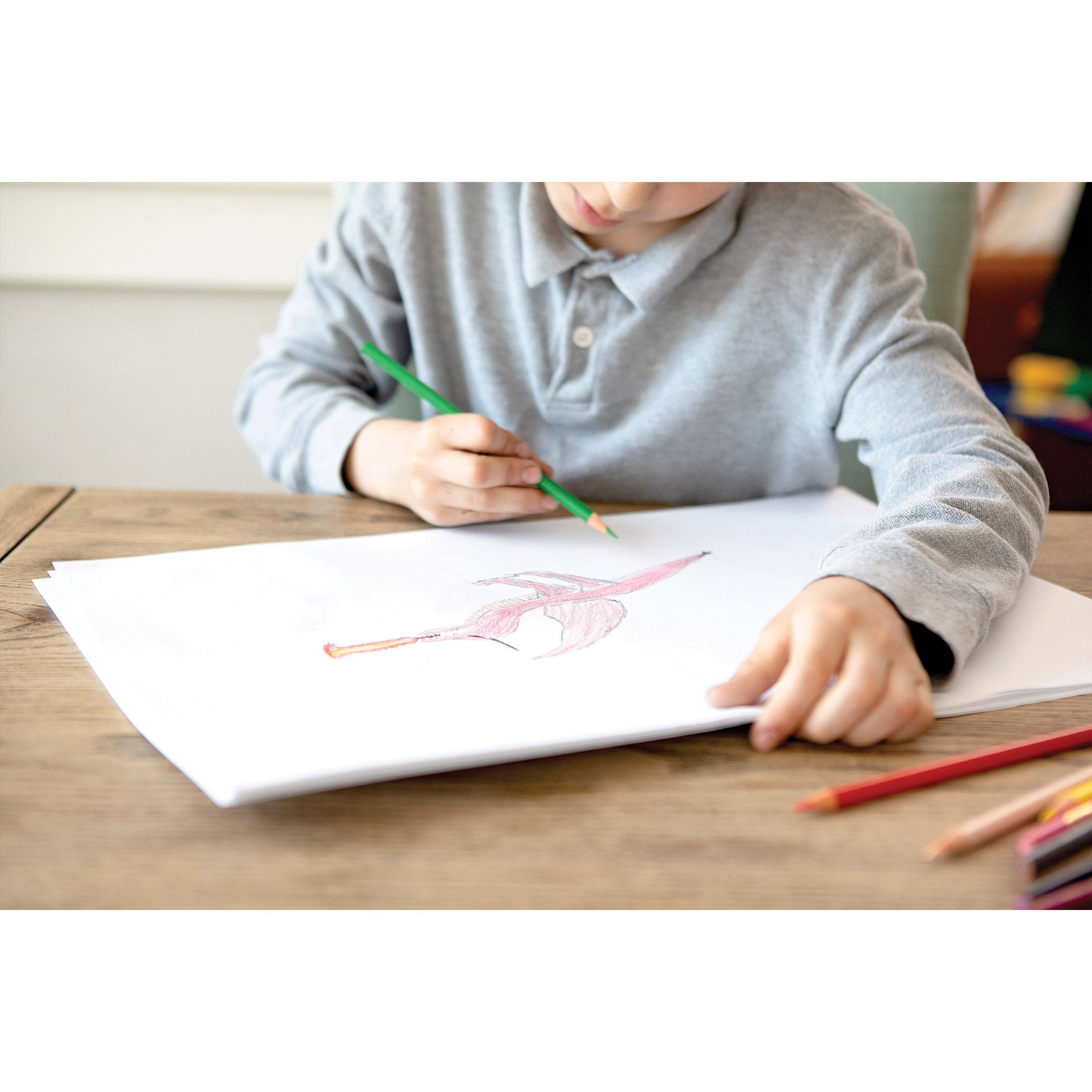 Drawing Paper, White, Standard Weight, 12" x 18", 500 Sheets
