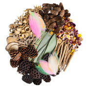 NATURALS WOODLAND WONDERS SET