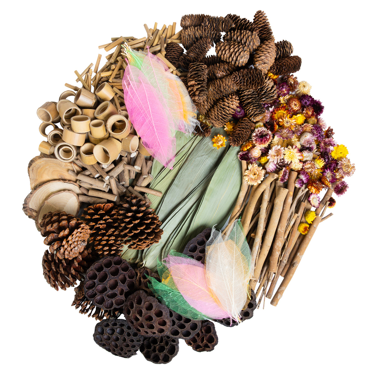 NATURALS WOODLAND WONDERS SET