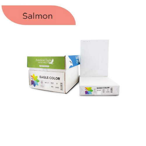 8.5" x 11" Color Copy Paper, 20 lbs., Salmon, 500 Sheets/Ream
