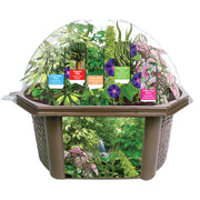 Rainforest Biosphere