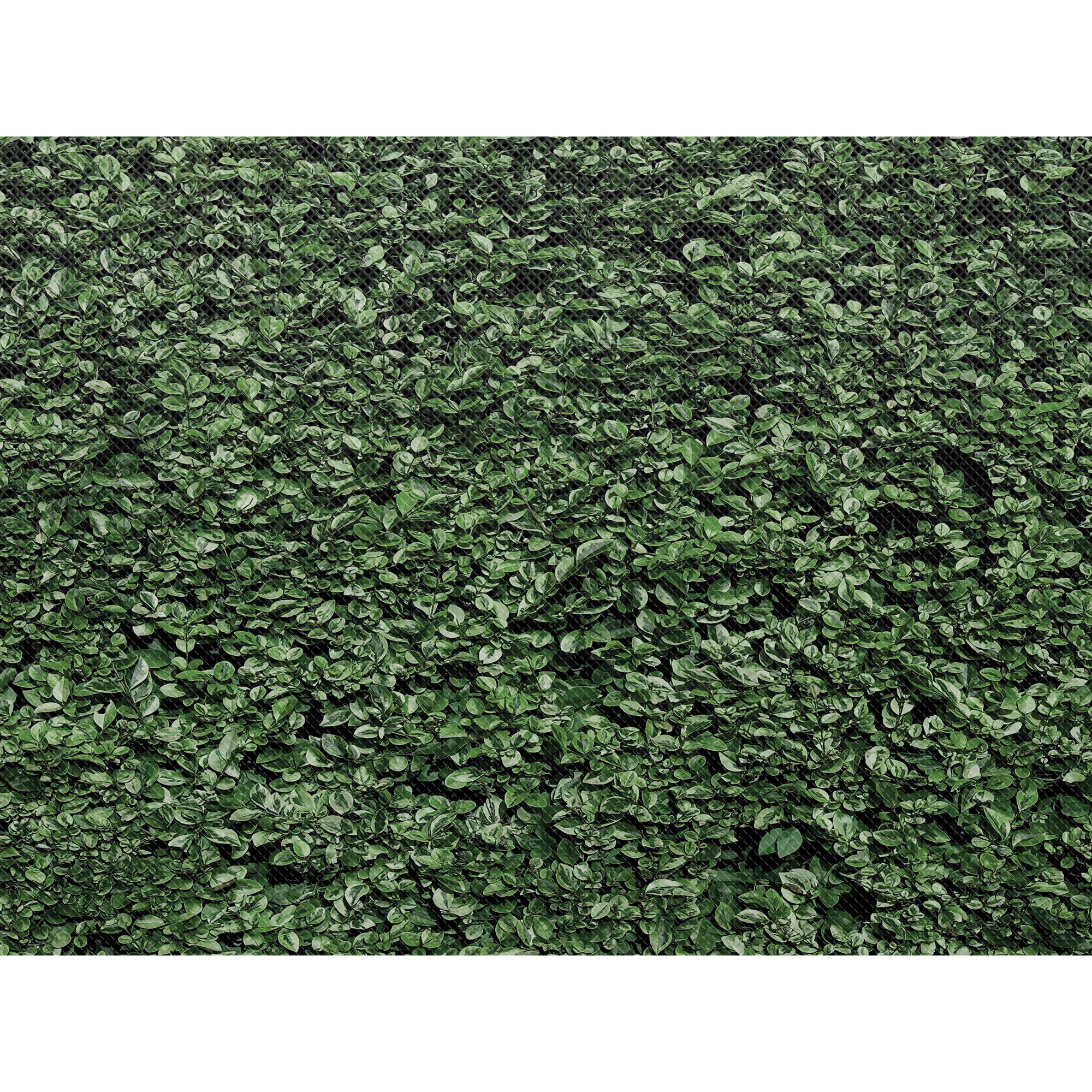 Fun Size Better Than Paper® Bulletin Board Roll, 18" x 12', Boxwood