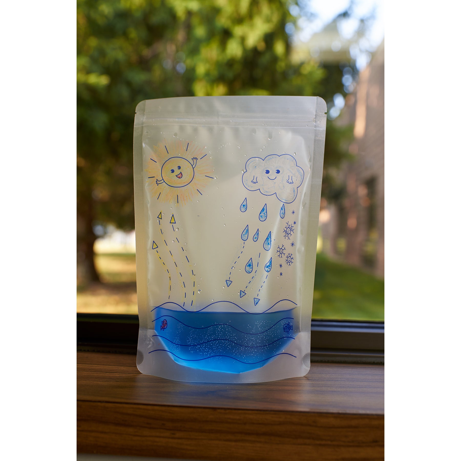 Water Cycle Experiment Kit, 24 Model Bags