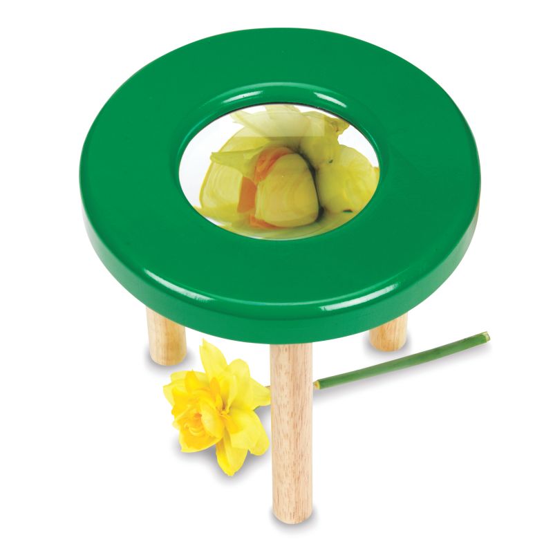 Magnification Science Station