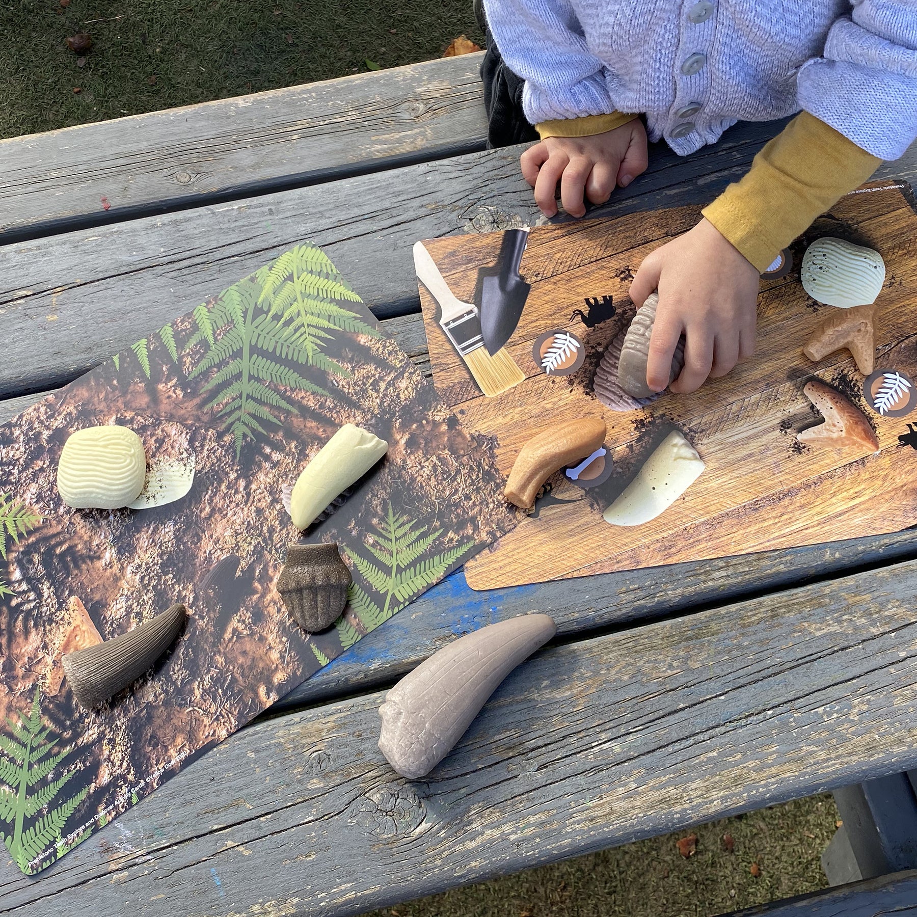 Prehistoric Teeth – Explore and Discover Activity Cards, Set of 16