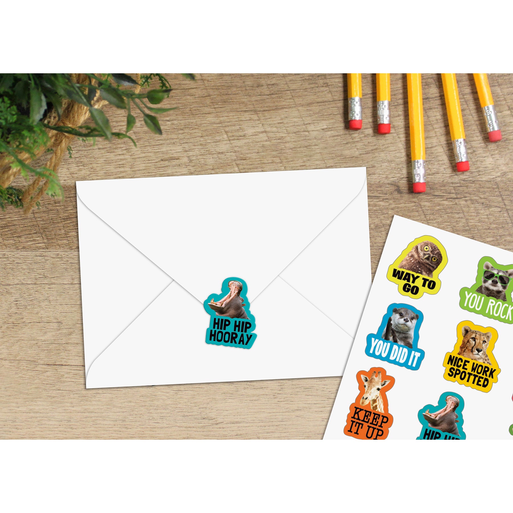 Go Wild Animals Stickers, Pack of 72