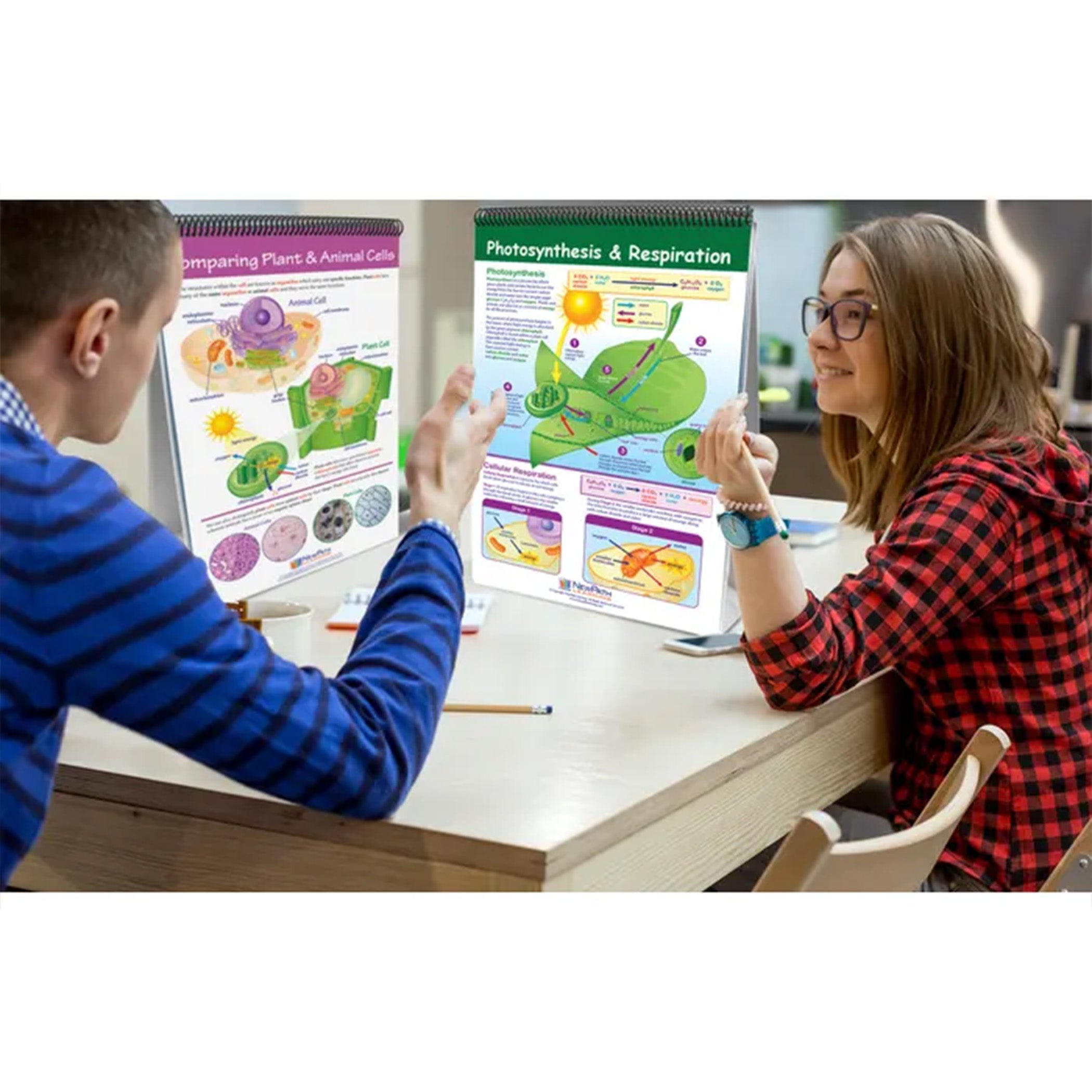 Science Skills Curriculum Mastery® Flip Chart, Grade 6