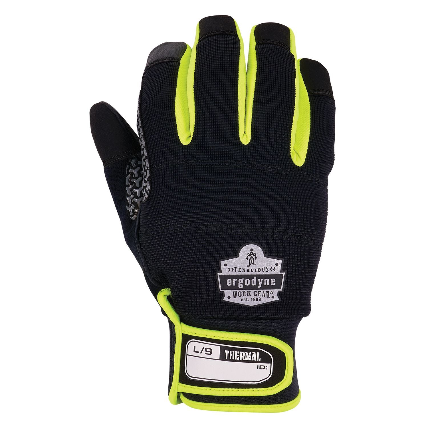 Ergodyne ProFlex 850 Insulated Freezer Gloves, Large, Black, Neoprene, Touchscreen Capable, Reinforced Thumb Saddle, Excellent Grip, Machine Washable, Lightweight, High Dexterity, 2 Pairs