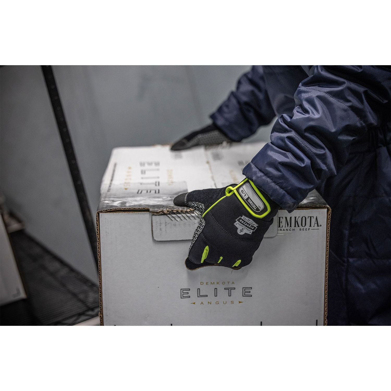 Ergodyne ProFlex 850 Insulated Freezer Gloves, XXL, Black, Neoprene, Touchscreen Capable, Reinforced Thumb Saddle, Excellent Grip, Lightweight, Machine Washable, 2 Pairs