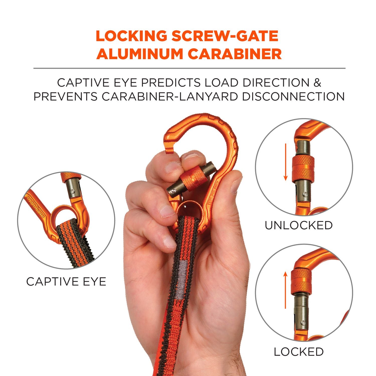 Squids 3104F(x) Tool Lanyard with Carabiner/Choke Loop, 10 lb Max Working Capacity, 38" to 48" Long, Gray/Orange