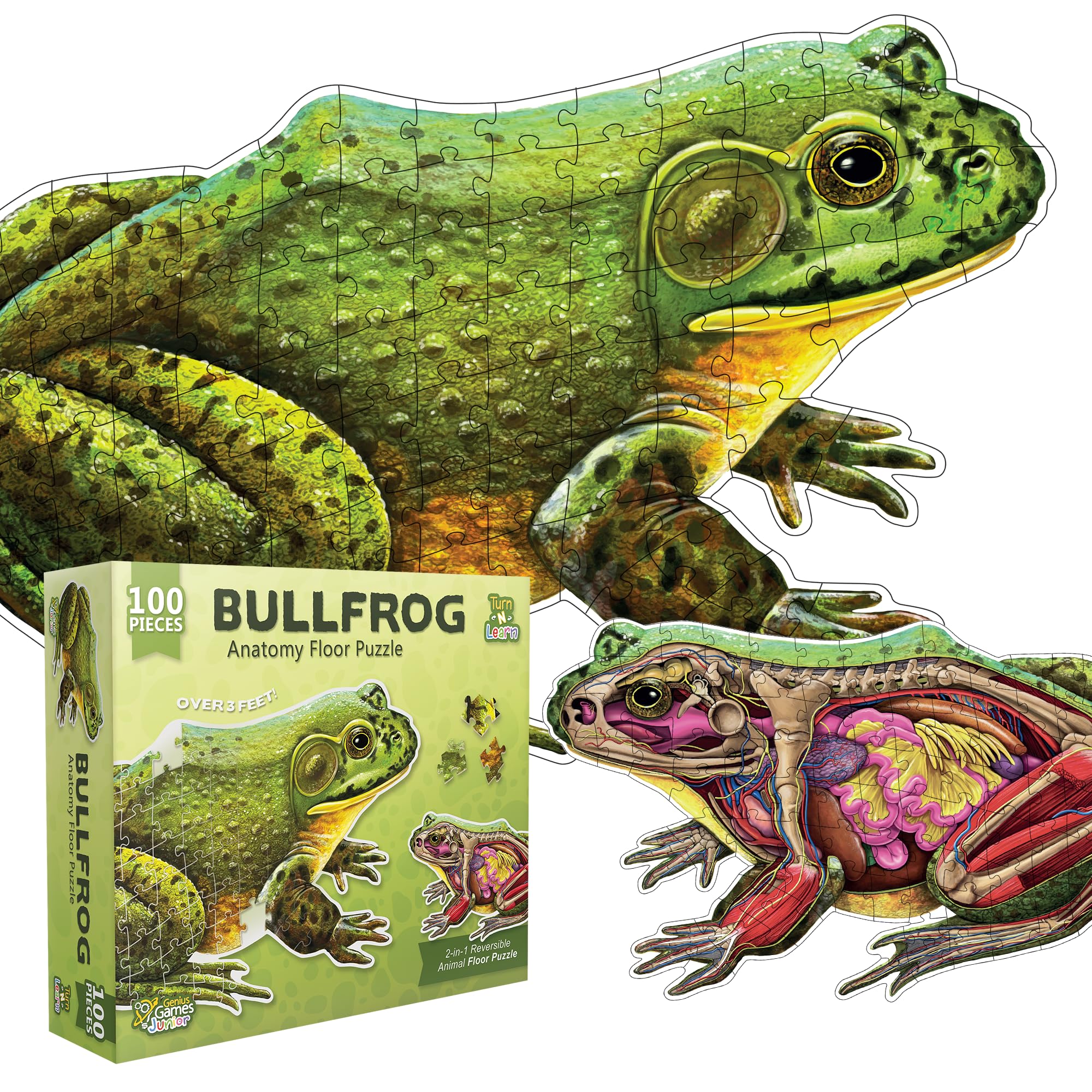 Tiger, Shark and Owl Animal Anatomy Floor Puzzle | 100-Piece Double Sided Jigsaw Puzzle | Scientifically Accurate Illustration - Fun and Educational Toy for Kids and Toddlers (Tiger, Owl, and Shark)
