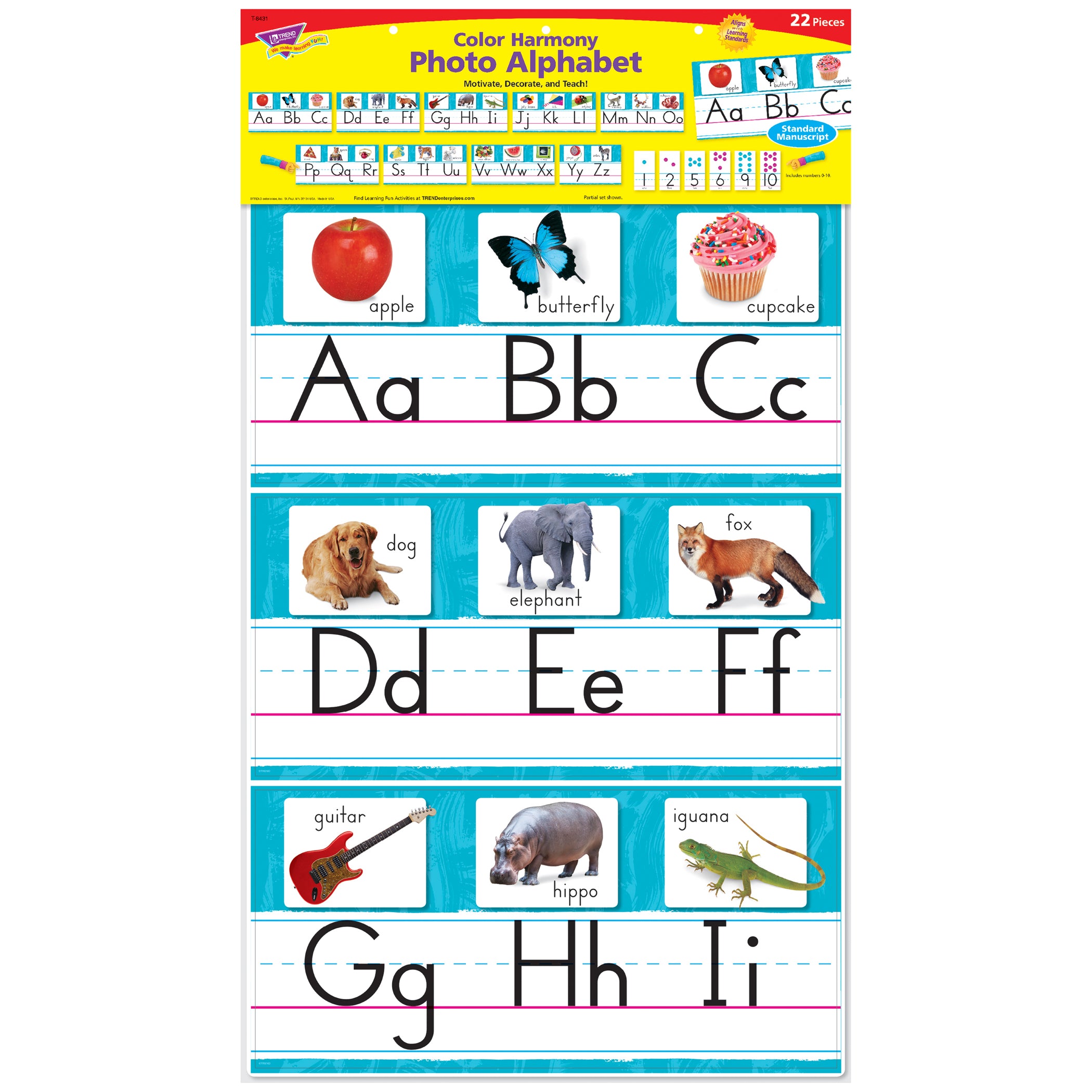 Color Harmony Photo Alphabet Bulletin Board Set