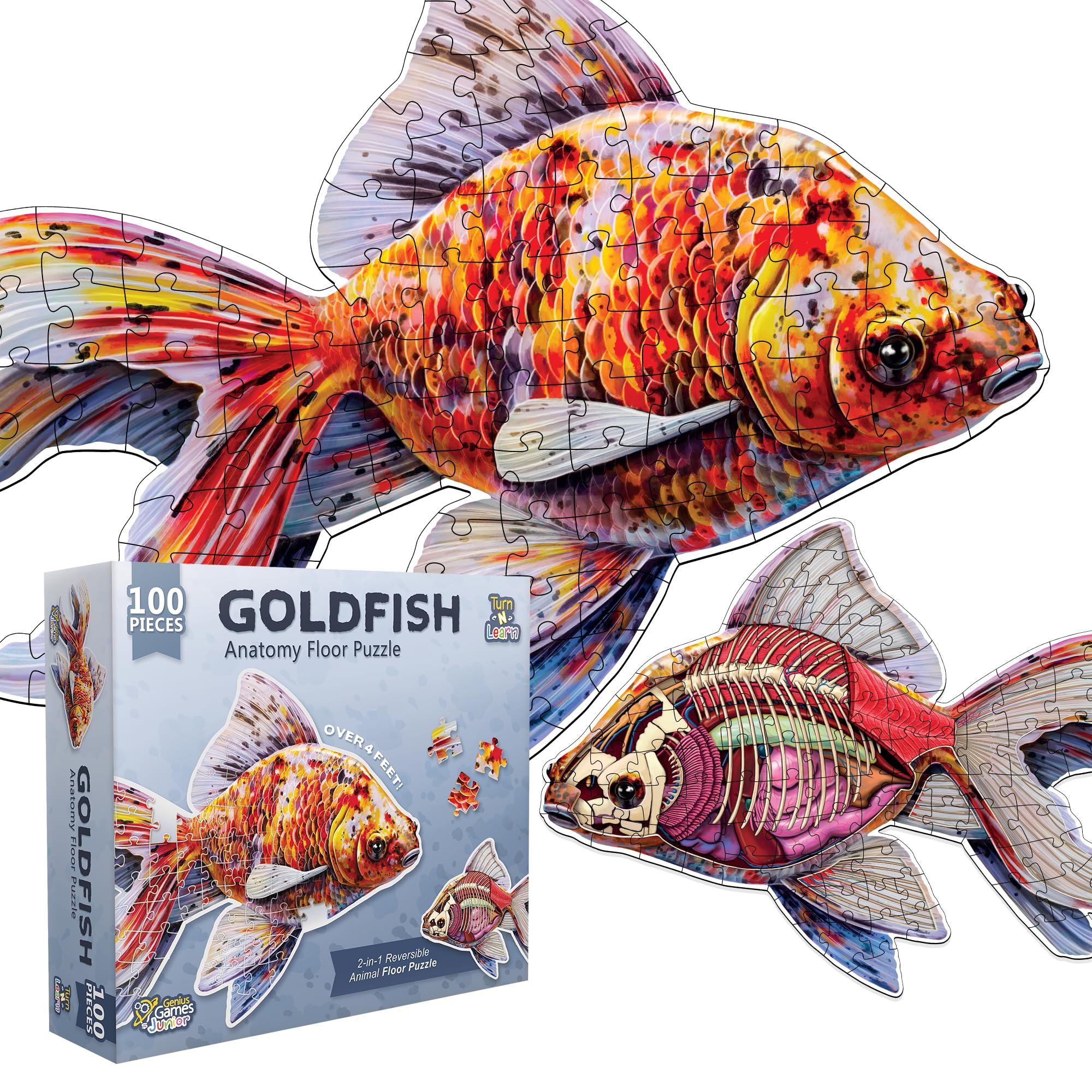 Goldfish Animal Anatomy Floor Puzzle | 100-Piece Double Sided Jigsaw Puzzle | Large-Sized, Over 4 Feet Scientifically Accurate Illustration - Fun and Educational Toy for Kids, Toddlers and Families