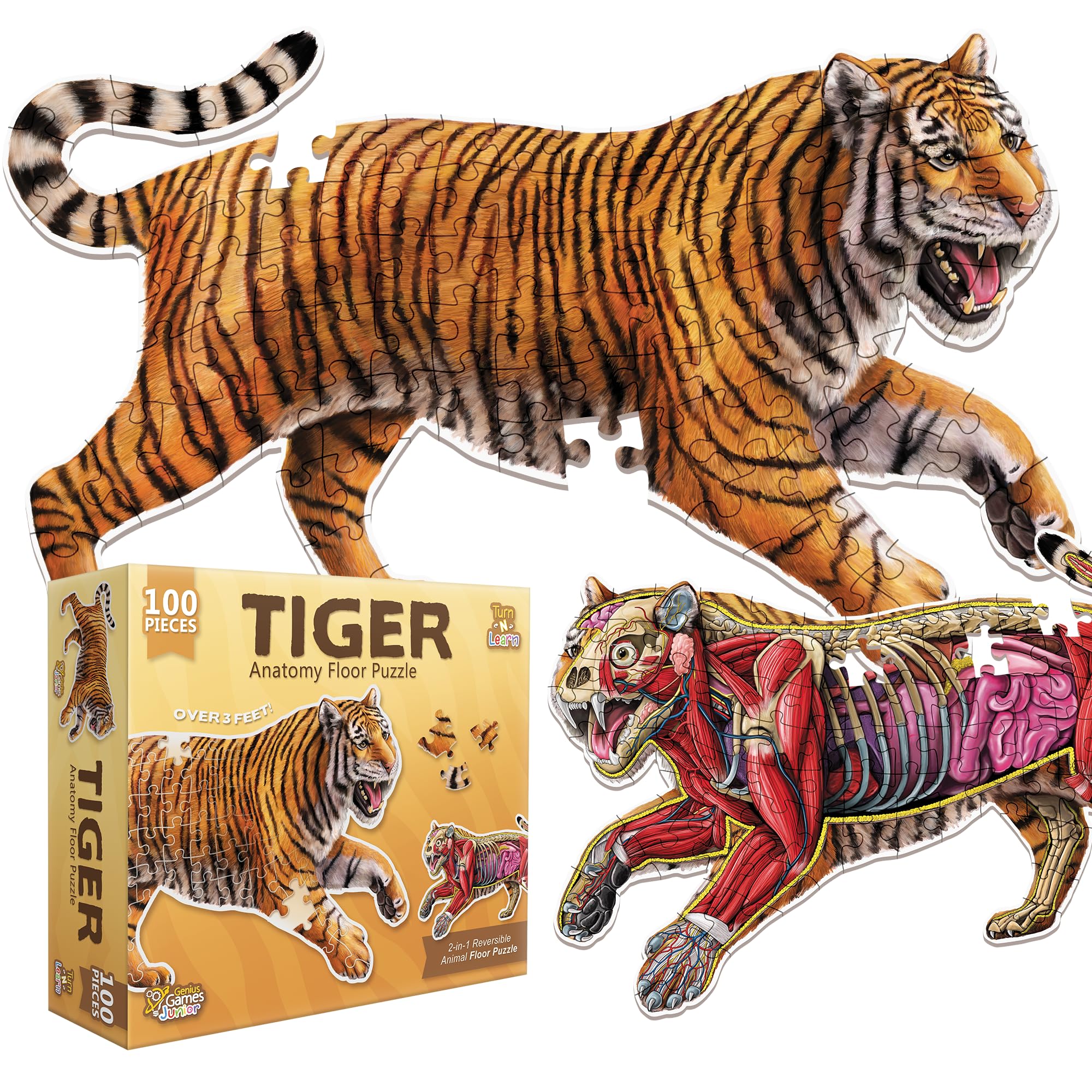 Tiger Animal Anatomy Floor Puzzle | 100-Piece Double Sided Jigsaw Puzzle | Large-Sized, Over 3 Feet Scientifically Accurate Illustration - Fun and Educational Toy for Kids, Toddlers and Families