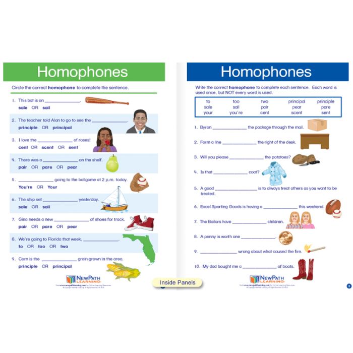 Homophones Visual Learning Guide - Grades 3 - 5