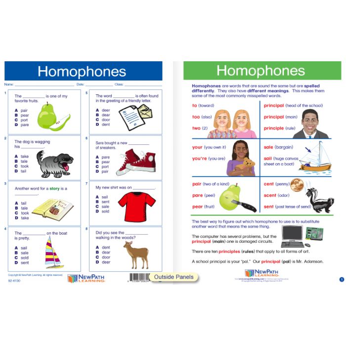 Homophones Visual Learning Guide - Grades 3 - 5