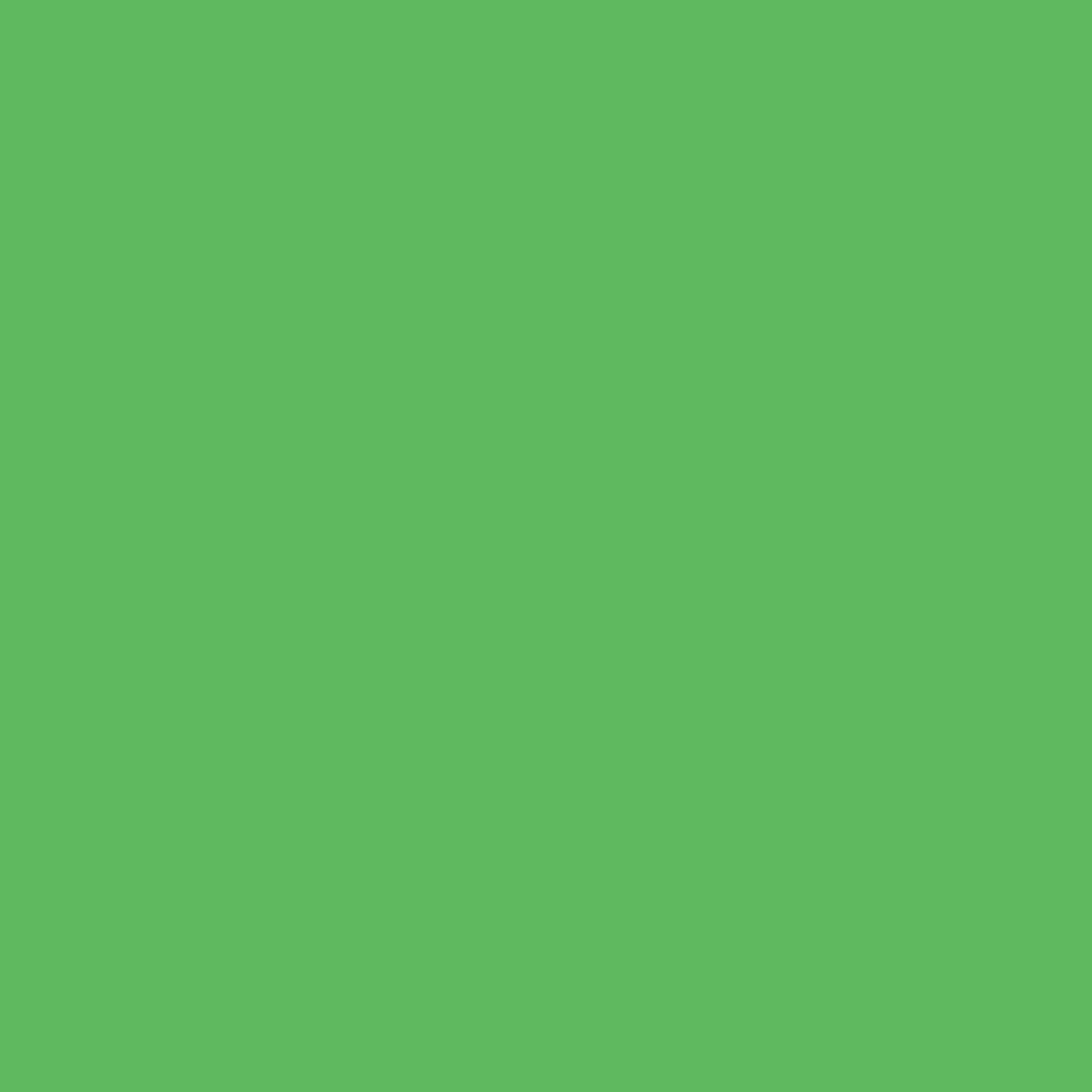 Acrylic Paint Matte, 16oz., Spring Green