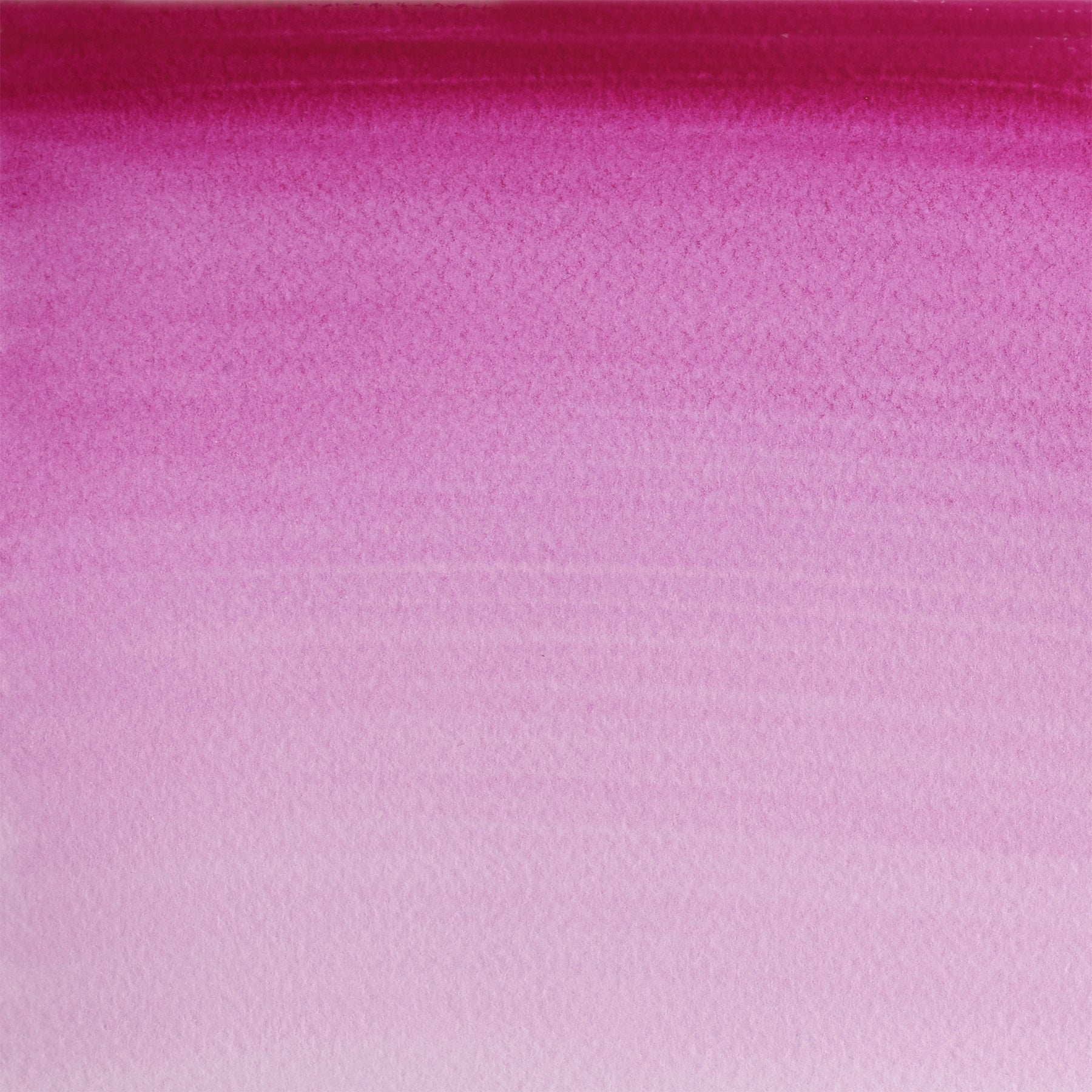 CWC 8ml tube - Purple Lake