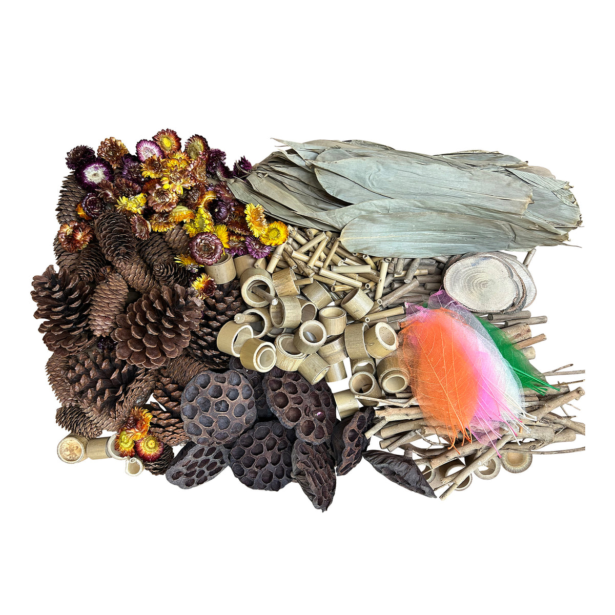 NATURALS WOODLAND WONDERS SET