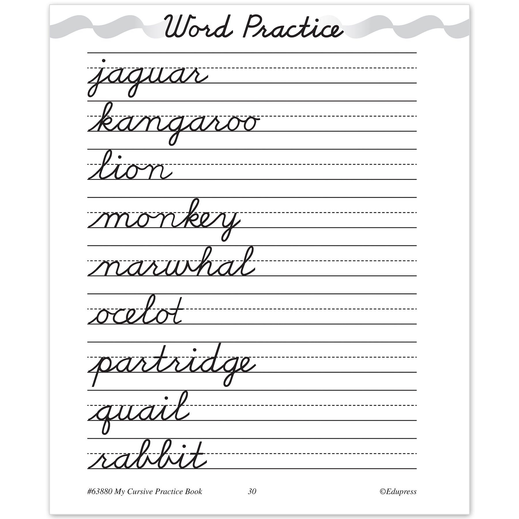 My Own Books™: My Cursive Practice Book, 25-Pack