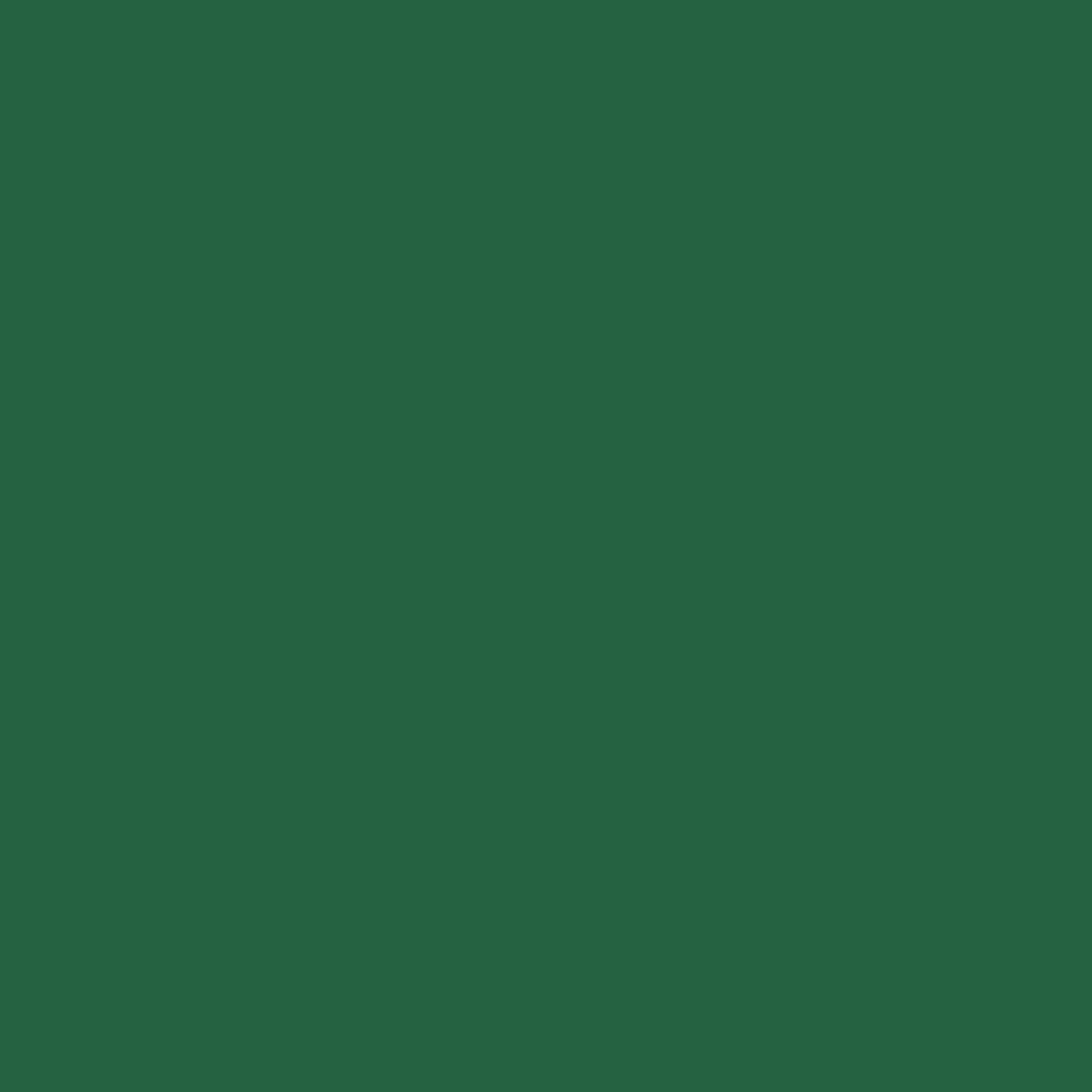 Acrylic Paint Matte, 8oz., Christmas Green