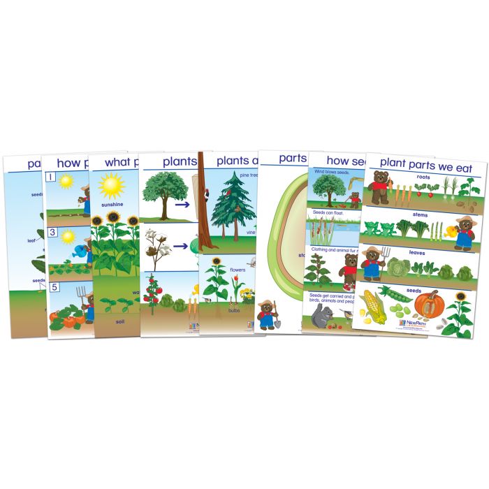 All About Plants Bulletin Board Chart Set - Set of 8 - ENGLISH