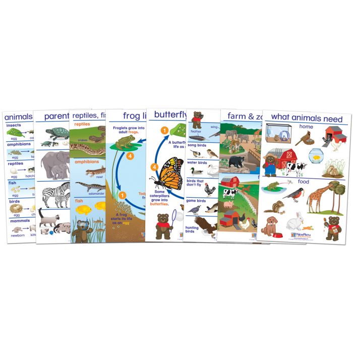 All About Animals Bulletin Board Chart Set - Set of 8 - ENGLISH