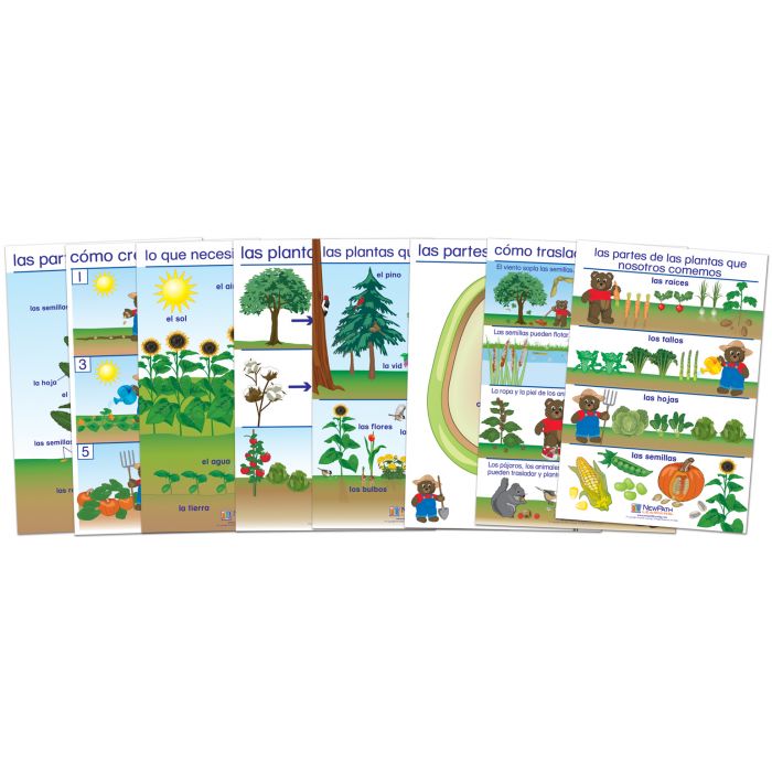 All About Plants Bulletin Board Chart Set - Set of 8 - SPANISH