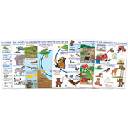All About Animals Bulletin Board Chart Set - Set of 8 - SPANISH