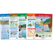 All About Animals Bulletin Board Chart Set – Set of 5