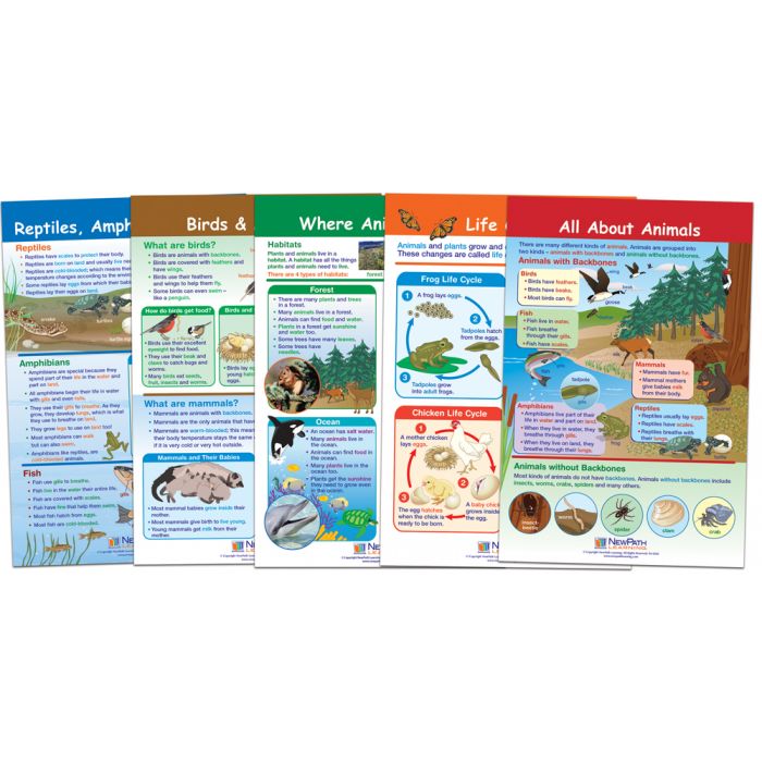 All About Animals Bulletin Board Chart Set – Set of 5