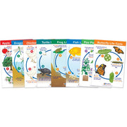 Life Cycles Bulletin Board Chart Set - Set of 8