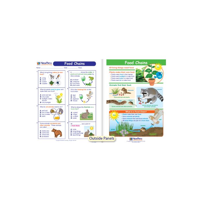 Food Chains Visual Learning Guide - Grades K - 2