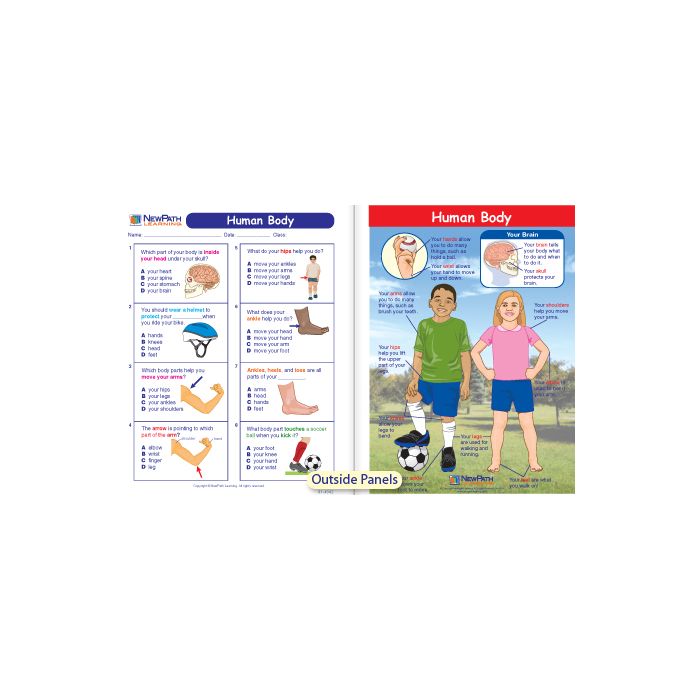 Human Body Visual Learning Guide - Grades K - 2