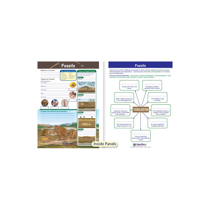 Fossils Visual Learning Guide - Grades 6 - 9