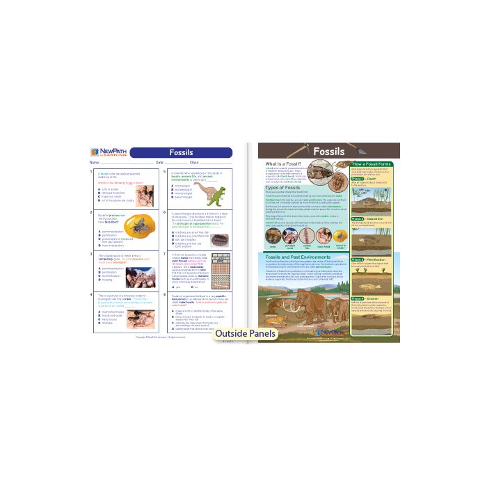 Fossils Visual Learning Guide - Grades 6 - 9