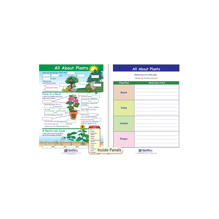 All About Plants Visual Learning Guide - Grades K - 2