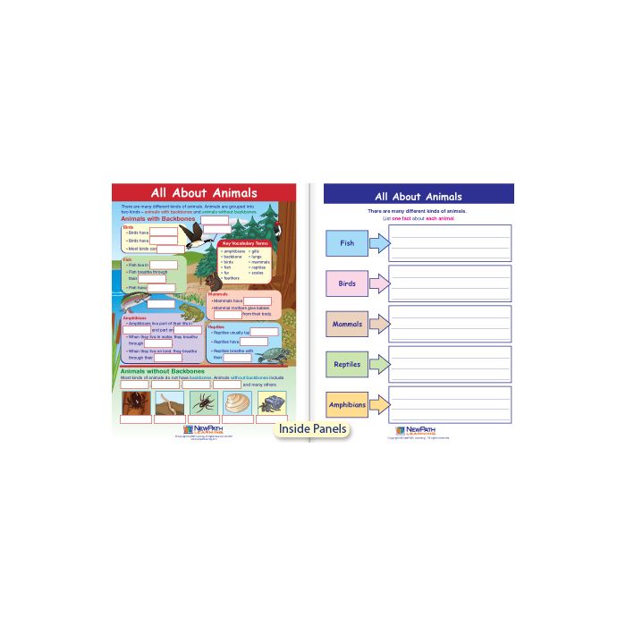 All About Animals Visual Learning Guide - Grades K - 2