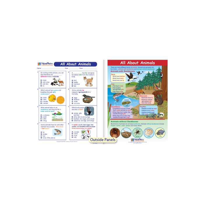 All About Animals Visual Learning Guide - Grades K - 2