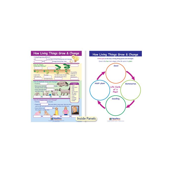 How Living Things Grow & Change Visual Learning Guide - Grades K - 2