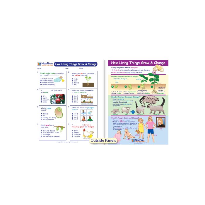 How Living Things Grow & Change Visual Learning Guide - Grades K - 2