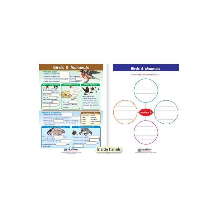 Birds & Mammals Visual Learning Guide - Grades K - 2
