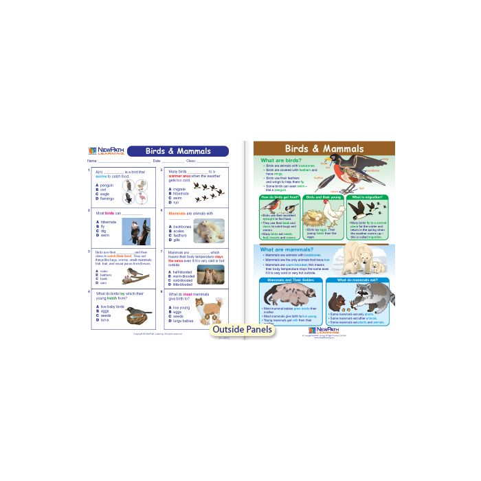 Birds & Mammals Visual Learning Guide - Grades K - 2