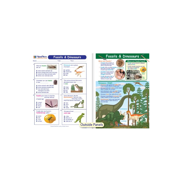 Fossils & Dinosaurs Visual Learning Guide - Grades K - 2